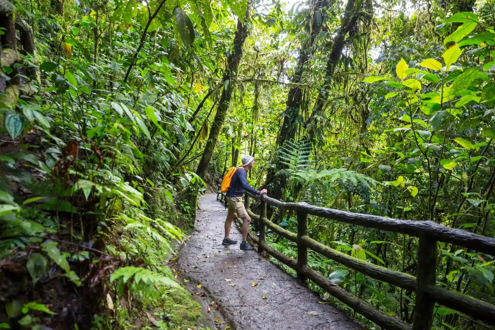 Discover the Ultimate Rainforest Adventure: Trekking Through Costa Rica’s Hidden Gems