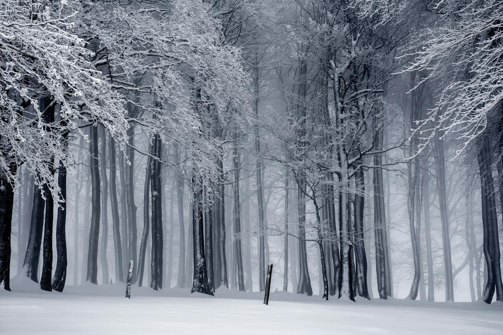Skydiving from 4,000 m