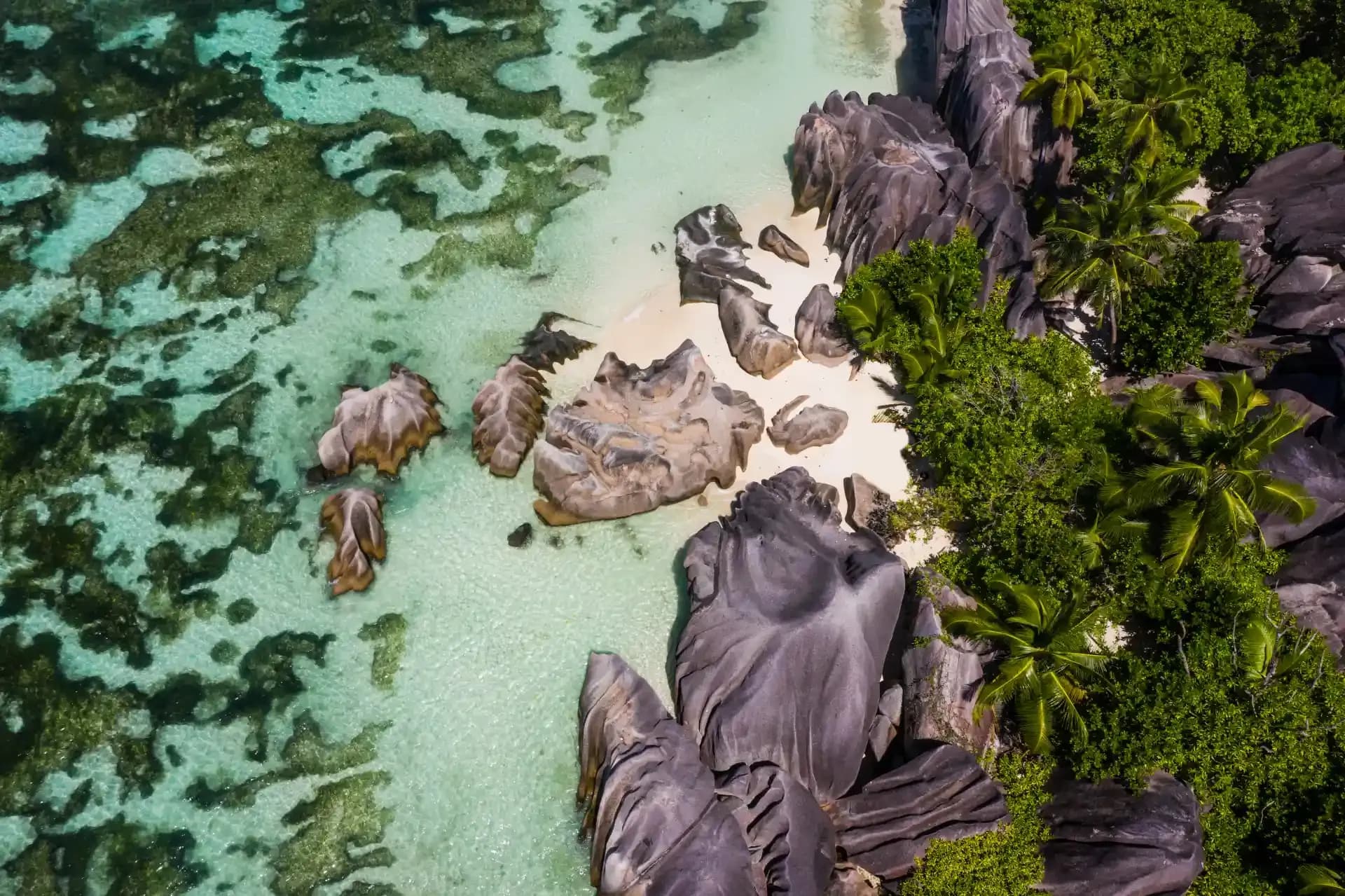 Island-Hopping in the Seychelles
