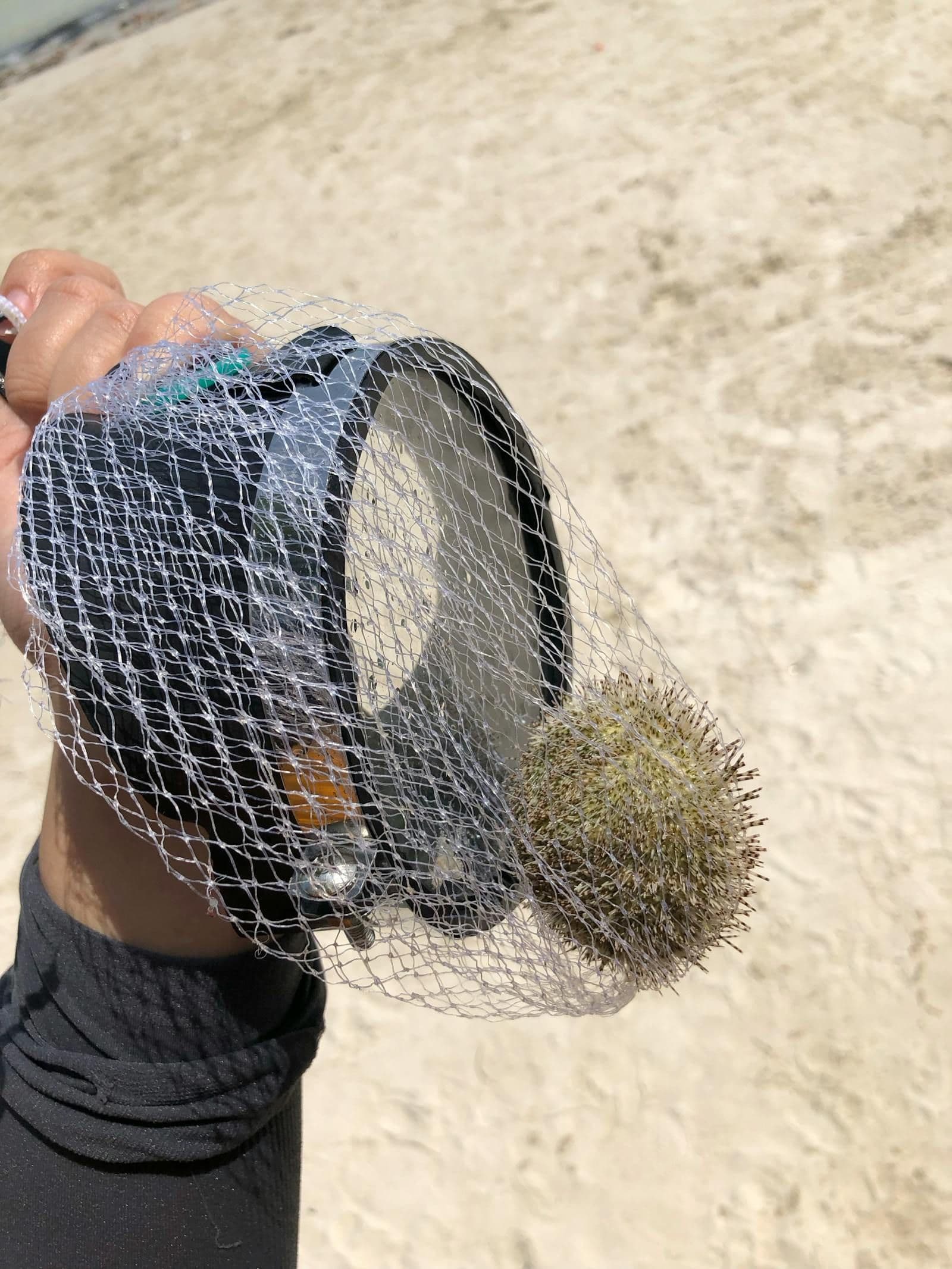 Lucerne 2026: The Definitive City and Lake Guide