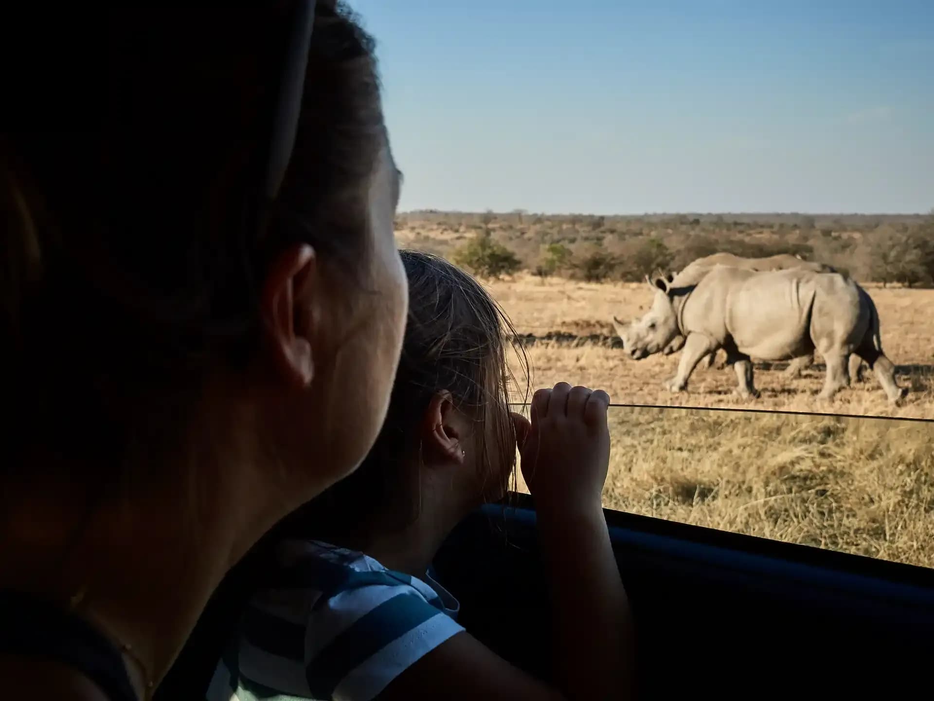 Explore Tokyo’s Iconic Theme Parks: Insider Tips for a Magical Experience