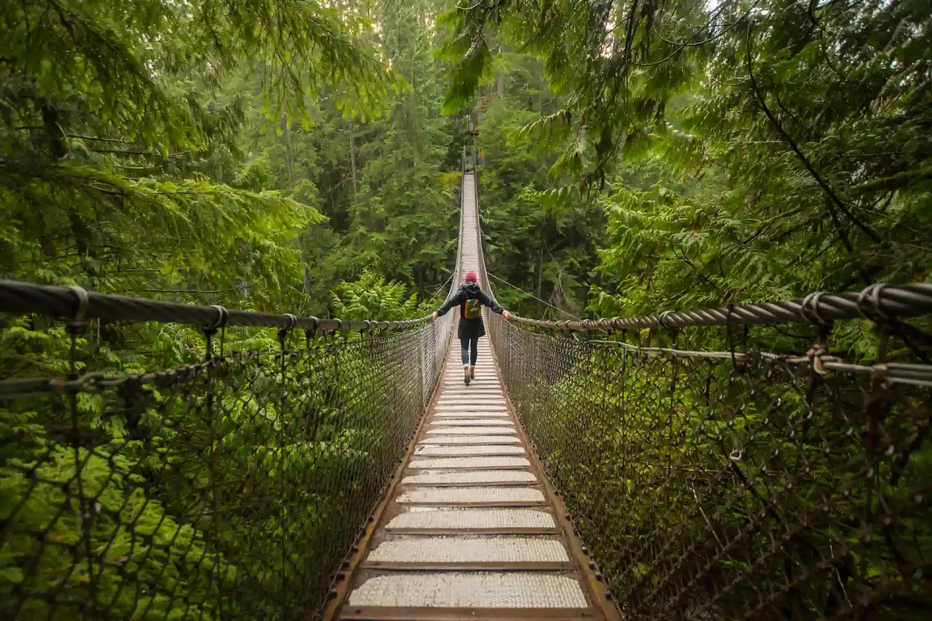 Discover Vancouver: Parks, Peaks, and Pacific Delights